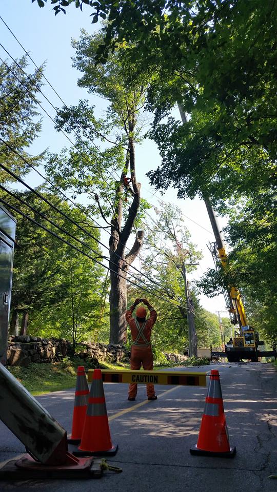 12596521_10206976179015384_199483265_n