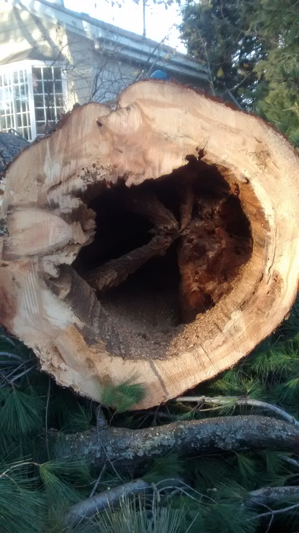 IMG_20141114_153407288