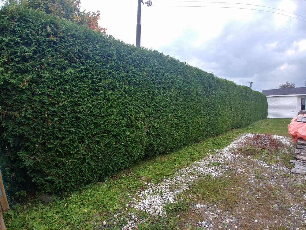 30706993_10213645647507928_2627852143507275776_n