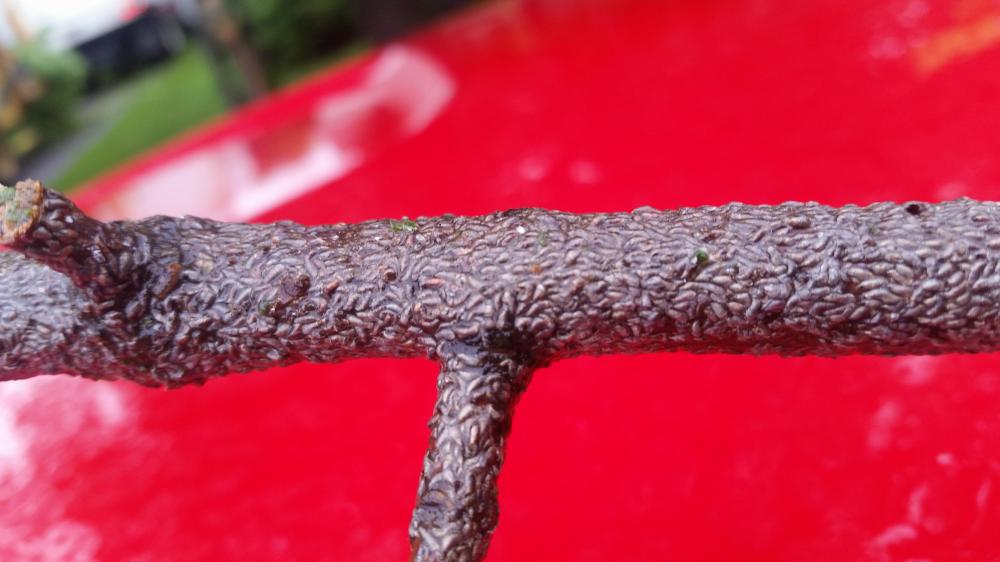 30728418_10213645646987915_3088933628810362880_n